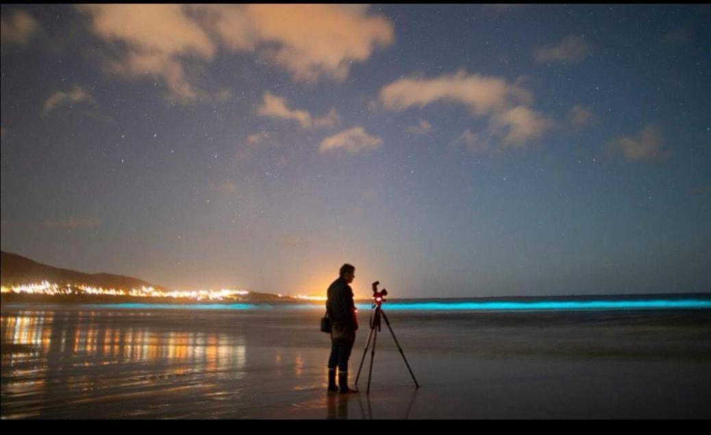 Apartamento Con Vistas Al Mar, Playa De Carnota! エクステリア 写真